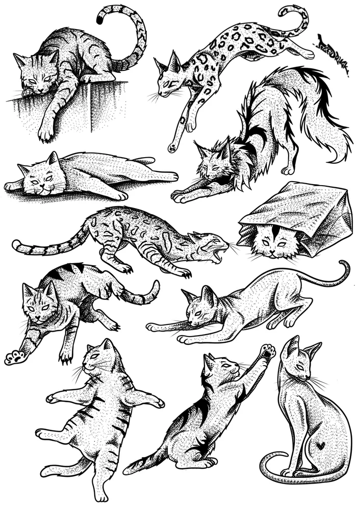 catscats