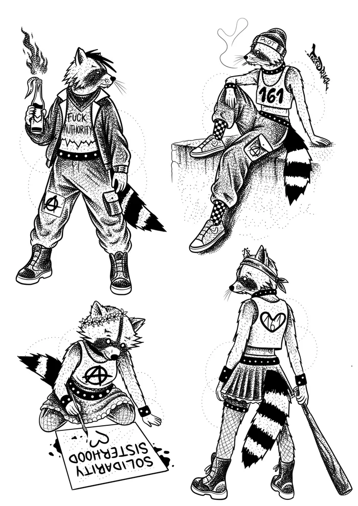 feminism racoon