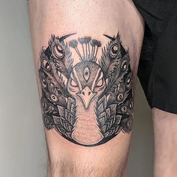Tattoo – pfau